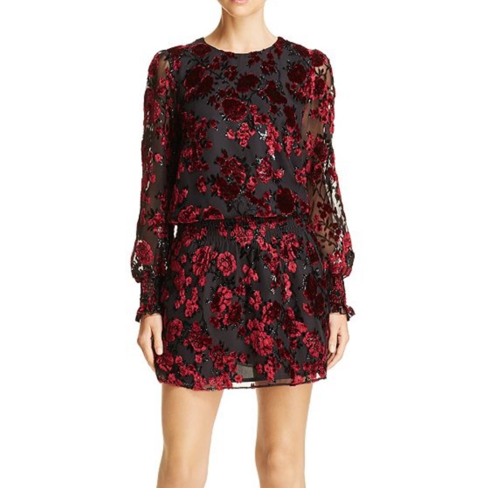Parker Carmindy Floral Velvet Burnout Dress size XS Long Sleeve Smocked Waist
